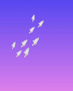 Bird flying groups Stock Illustration