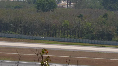 Bird flying low over airport runway near forest Stock Footage 345681553