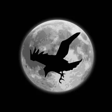Bird flying moonlight night Stock Illustration