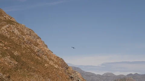 A bird flying with a mountain range in the background, South Africa Vídeo Stock 127296004
