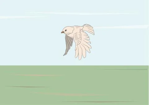 Bird flying in nature Illustrazione stock