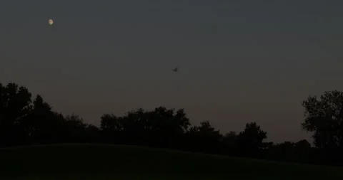 Bird flying at night in front of sky with beautiful moon Stock Footage 160679190