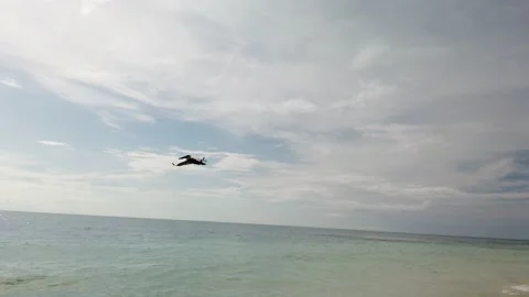 Bird flying over the beach Vídeo Stock 150932256