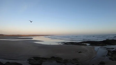 Bird flying over beach &amp; ocean landscape during sunrise in St Andrews Scotland Video stock 128719663