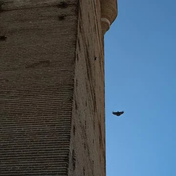 Bird flying over the castle tower Stock Photos