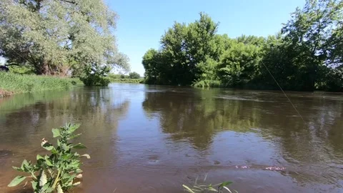 A bird flying over a fast river. Stock Footage 141135483