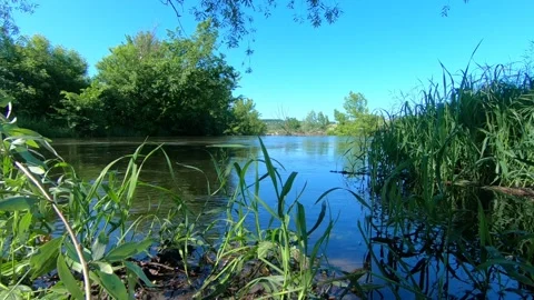 A bird flying over a fast river in the sun. Stock Footage 141135485