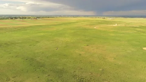 Bird flying over grass - Drone camera moves left Stock Footage 134833576