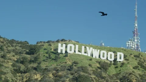 Bird flying over Hollywood Sign, Los Angeles, panning left to right Stock Footage