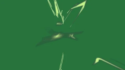 Bird flying over it and background star in the middle close up of clock on Stock Footage 336855707