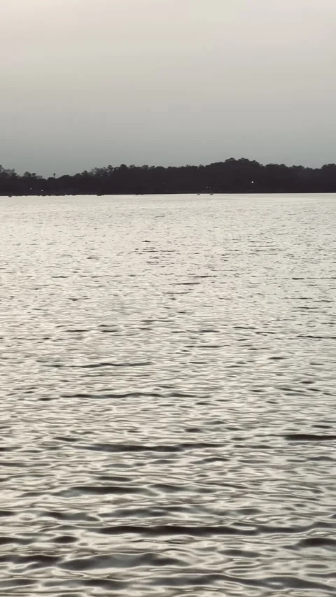 Bird Flying over lake during sunset Stock Footage 282425467