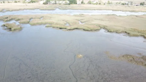 Bird flying over marsh, pans up to horizon 動画素材 151428621