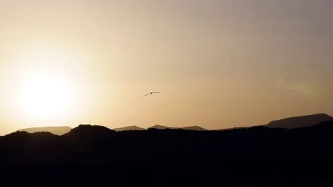 Bird flying over mountains during sunset Video stock 71546404