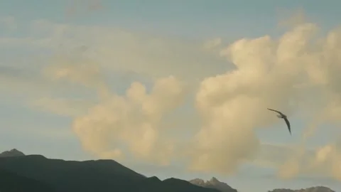 Bird Flying over Mountains Stock Footage 338118922
