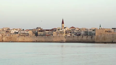 Bird flying over Old Acre walls early morning sunrise Stock Footage 156874395