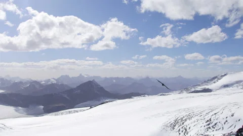 A bird flying over over the mountains Stock Footage 223562822