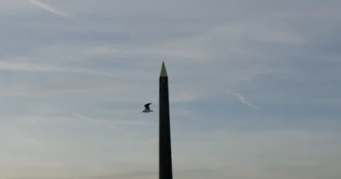 BIRD FLYING OVER PLACE DE LA CONCORDE (PARIS) Stock Footage 27987028