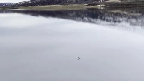 Bird flying over reflection on perfect still water reflecting mountains Iceland Stock Footage 279028712