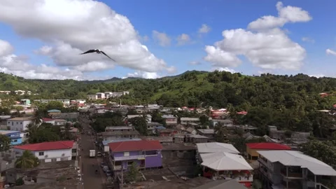 Bird flying over small traditional town Stock Footage 279389830