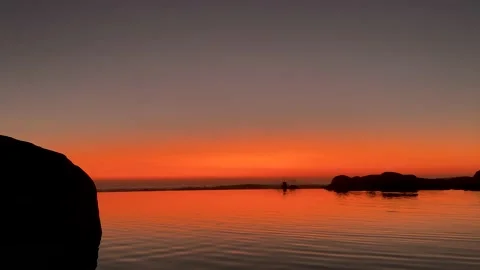 Bird flying over still tidal pool at sunset Stock Footage 201298752