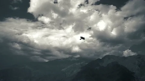 Bird Flying Pass the Frame with Big Cloud on the Sky with Mountain Landscape Stock Footage 154017931