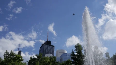 Bird flying past fountain on a summers day with city skyline in background Stock Footage