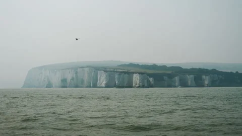 Bird flying past Old Harry and chalk cliffs in slow-mo. Stock Footage 137977653