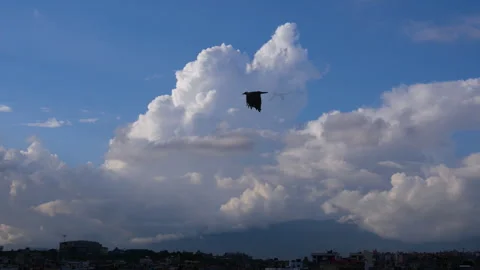 A bird flying by really close, really fast with beautiful big clouds Stock Footage 258008739