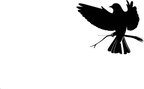 BIRD FLYING  silhouette Stock Illustration