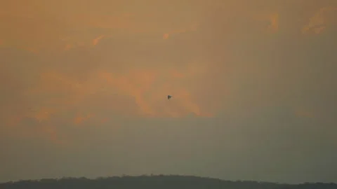 Bird flying on sky and cloud of sunset on slow motion  Stock Footage 249060442