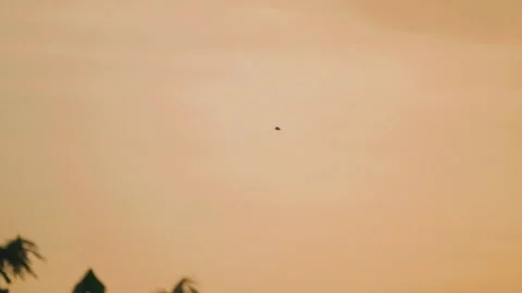 Bird flying on sky and cloud of sunset on slow motion  Stock Footage 249063867