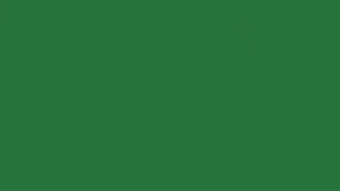 Bird Flying With Sky - Chroma Key Green Screen Footage Stock Footage 338014045