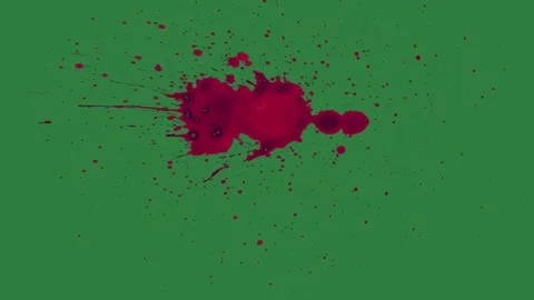 Bird Flying With Sky - Chroma Key Green Screen Footage Vidéo 338018181