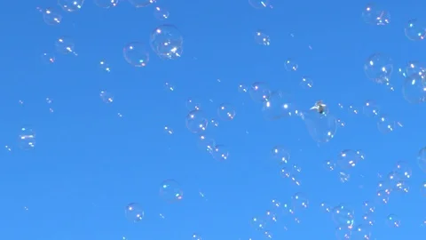 A bird flying in a sky full os soap bubbles Stock Footage 128077052