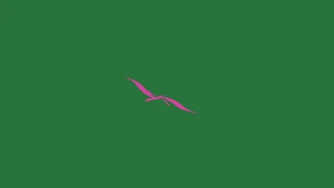 A bird flying in the sky on green background and screen with clock it pink Stock Footage 337029435
