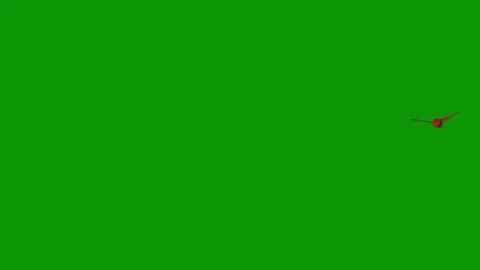 Bird flying in sky green screen red arrow heart dot animated chromakey Stock Footage 314068090