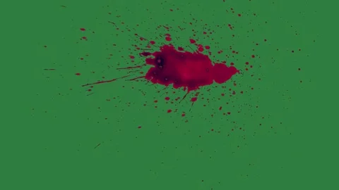 Bird Flying With Sky On Green Screen Chroma Key Background Stock Footage 338018356