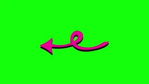 A bird flying in the sky on green screen and two birds with some pink flowers 库存影片 346200106