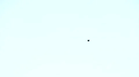 Bird flying sky-high on background of light blue sky Stock Footage 50069518