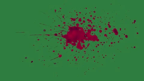 Bird Flying With Sky Isolated Green Screen Stock Video Vidéo 338018201