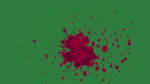 Bird Flying With Sky Isolated Green Screen Stock Video Stock-Footage 338018332