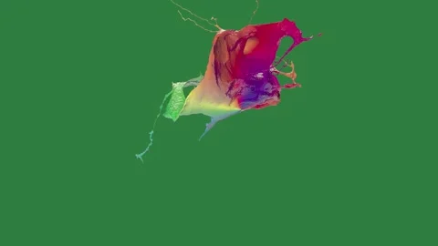 Bird flying in the sky kite air on colorful through multi - colored butterfly Stock Footage 336858732