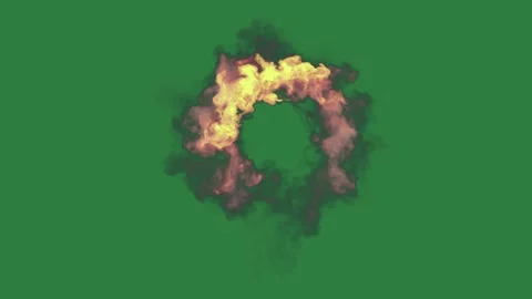 Bird flying in the sky on ring of fire smoke coming out it figure Stock Footage 336050027