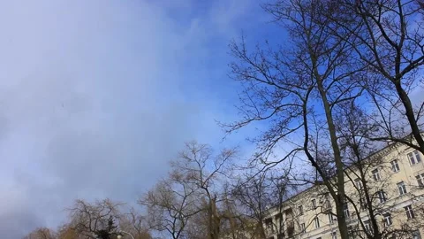 Bird flying at the sky with some trees on a side during winter time Stock Footage 124007425