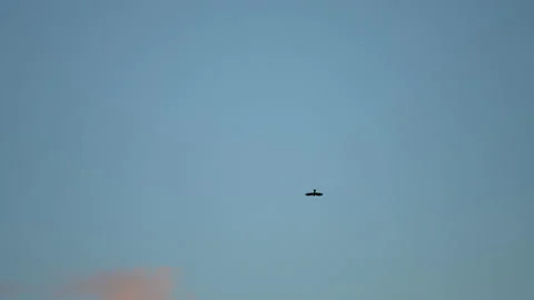 Bird flying slow motion on sky background Stock-Footage 221411068