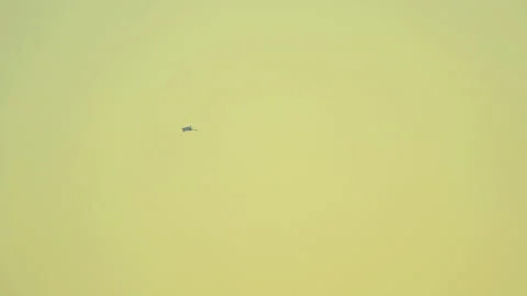 Bird flying slow motion on sunset sky of nature Stock Footage 254907507