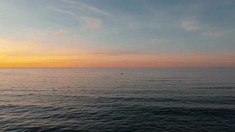 Bird Flying at Sunset 4k 動画素材 148245698