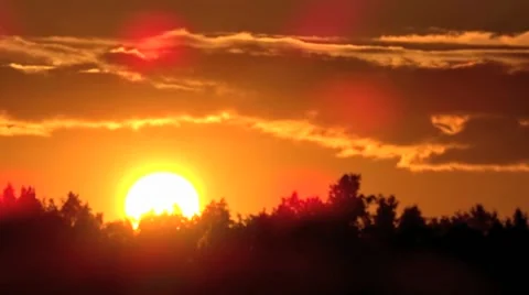 Bird flying to sunset Stock Footage 52070370