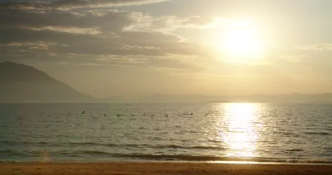 Bird flying at sunset in the sea Stock Footage 246886429
