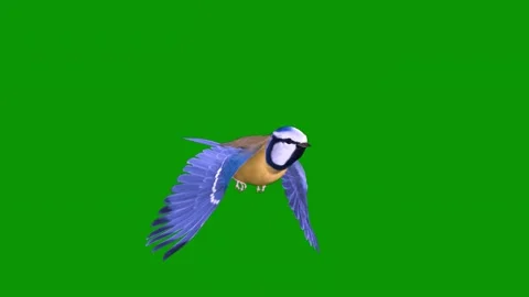 Bird flying through air green screen in animated chromakey colorful Stock Footage 314068367